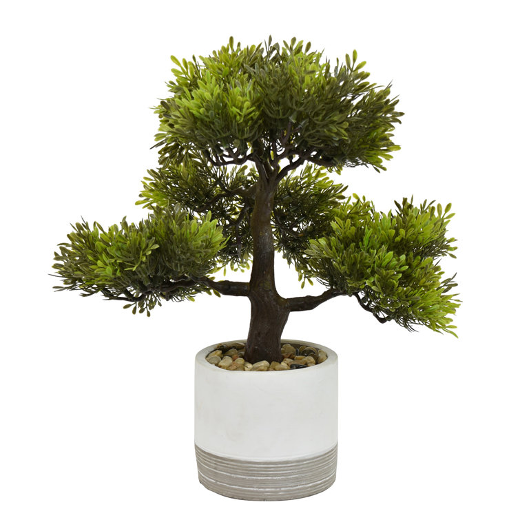 Primrue 16" Artificial Bonsai Tree Wayfair